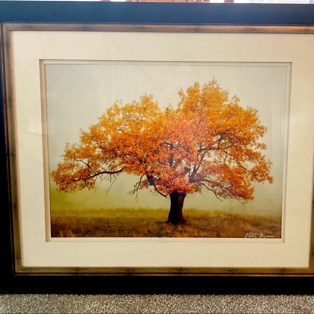 Wall art signed by artist Vitaly Geyman framed and matted